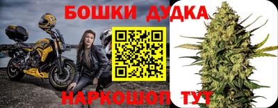 прущий лед Будённовск